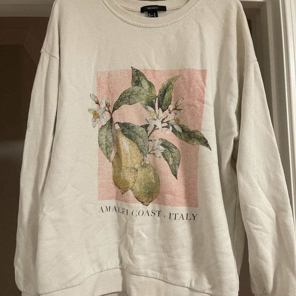 F21 crewneck sweater